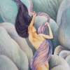 Mermaid Vir - Anemonengarnele