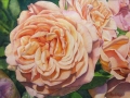 Rosenduft1-Naglschmid