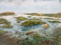 Algenfelder-Naglschmid