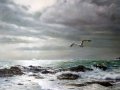 Nach-dem-Sturm-Naglschmid