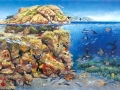 Mittelmeer-klein-web