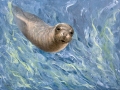 Seelöwe