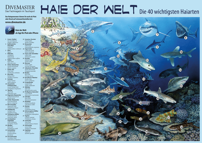 Klappseite-DM85-Haie-der-Welt