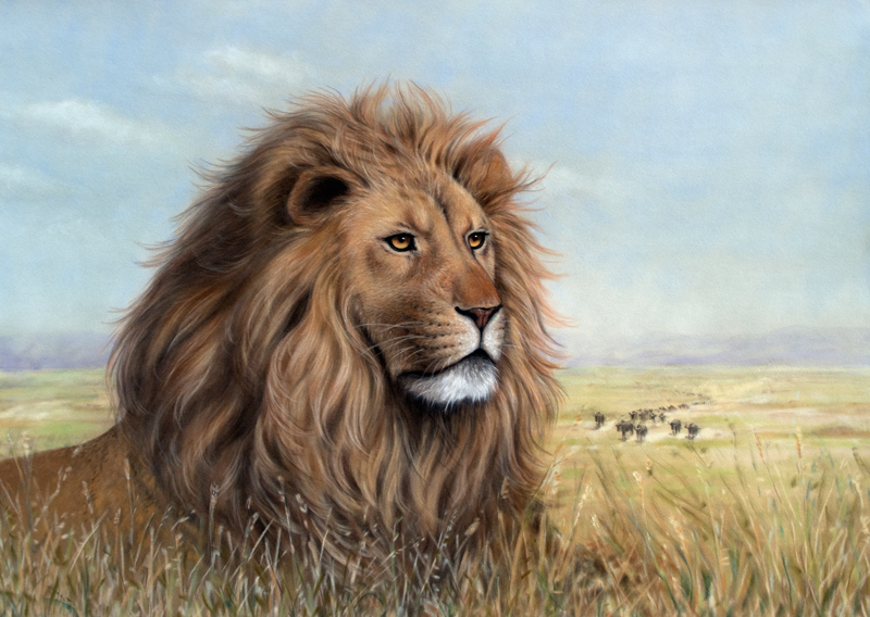 Löwe in der Serengeti Fine-Art-Print