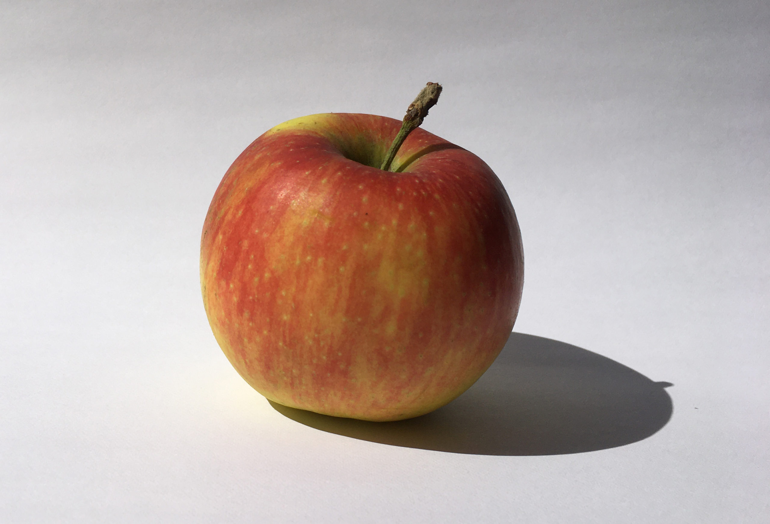 Vorlage: Apfel in Farbe
